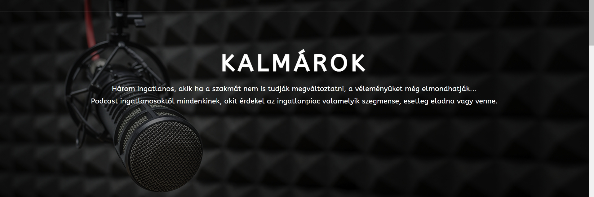 Read more about the article 35. Kalmárok podcast